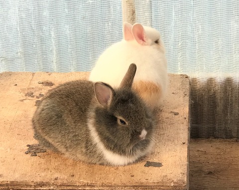 写真 2018-09-25 8 23 55c