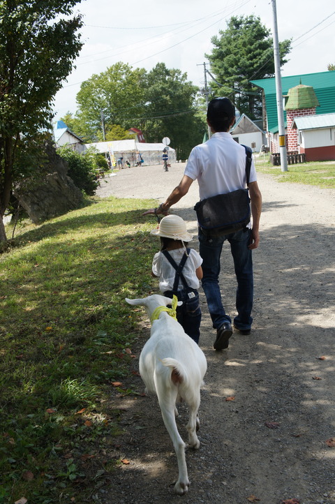 14)ヤギとじぃじとお散歩♡