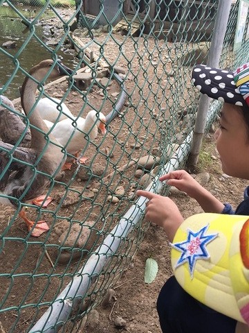 3)ふたごのパパさん