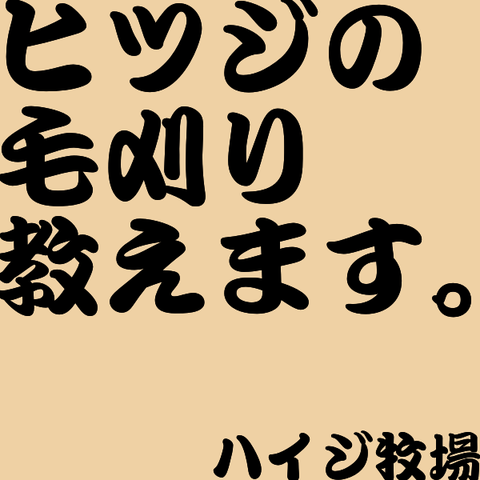 ヒツジの毛刈りおしえます