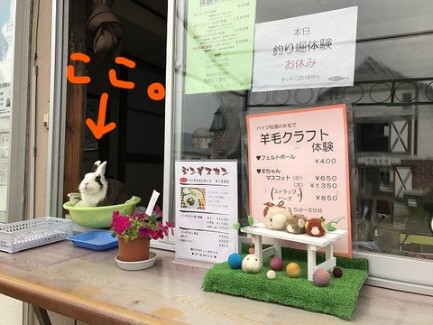 Inked写真 2018-07-21 16 32 40_LI