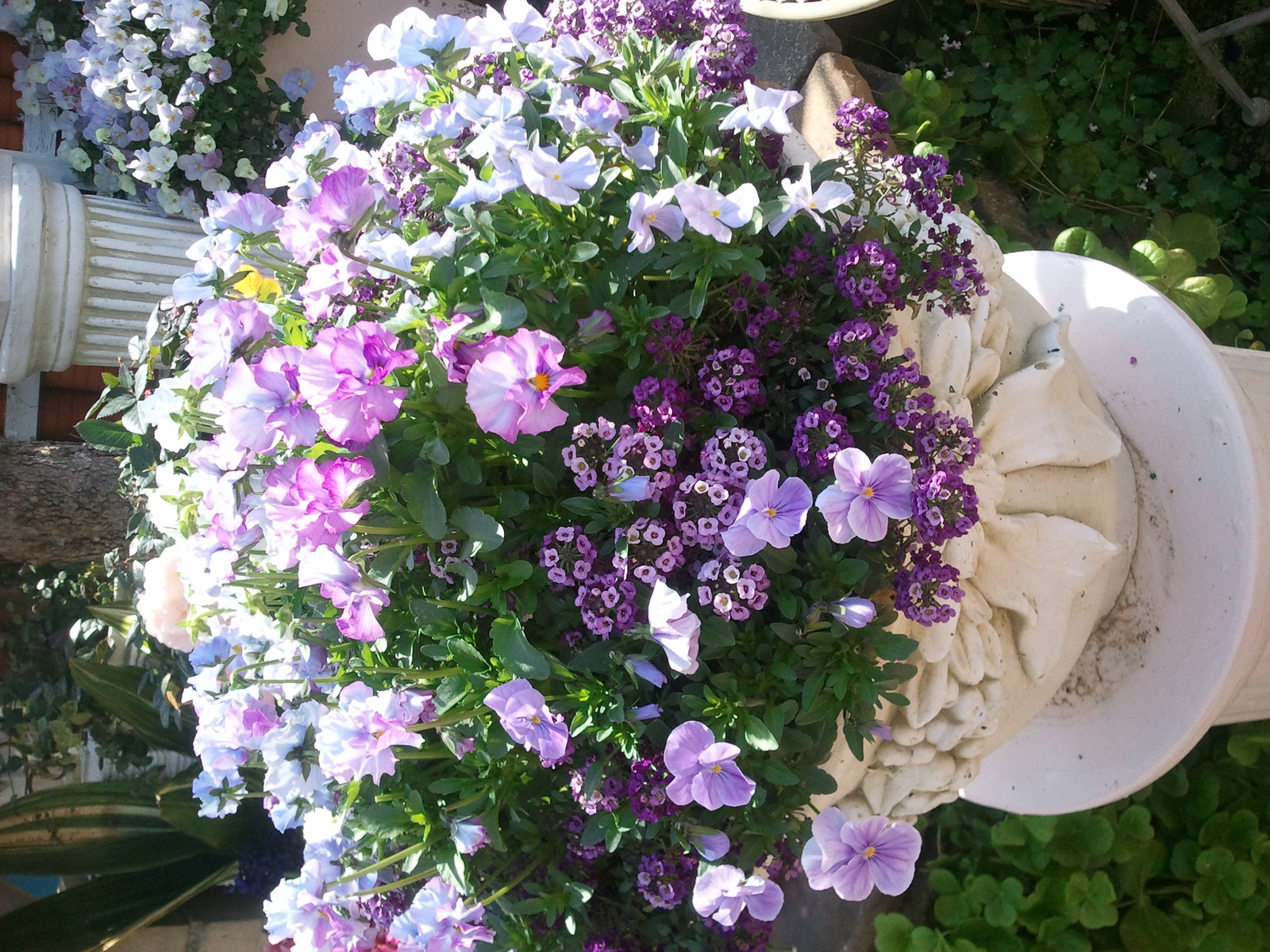 ブログを書く意味 Heidi S Flower Garden イタリアントマトクラブ 長寿村権六 Blog