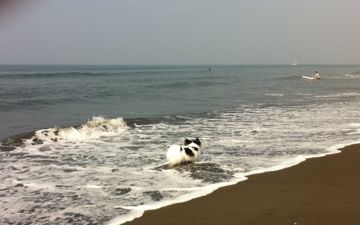 IMG_0465