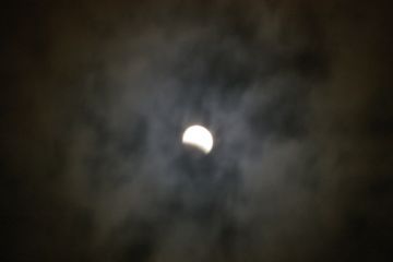 IMGP8456