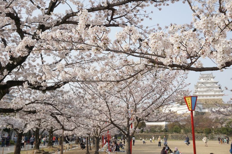 20180329-00000003-wordleafv-0036ced4c046d80855c7435532a82df27