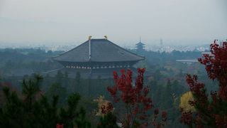 P1060202