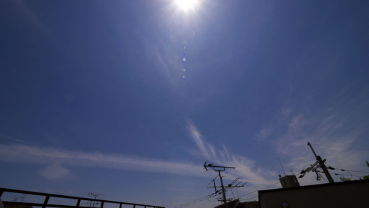 P1540821_edited-1