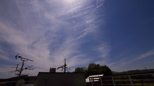P1540119_edited-1