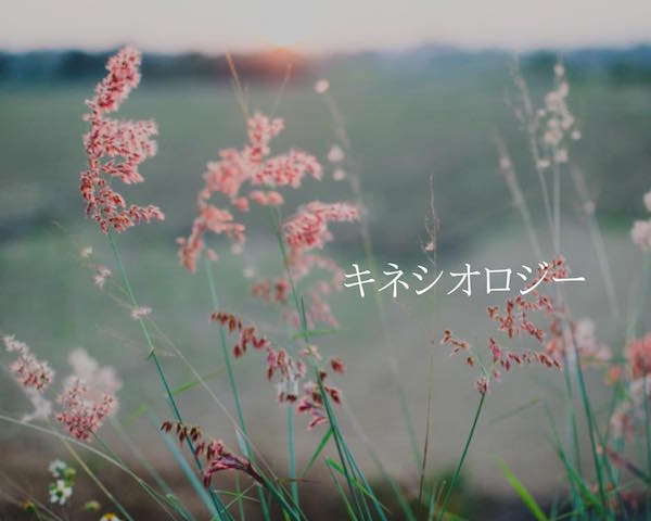 キネシオロジー