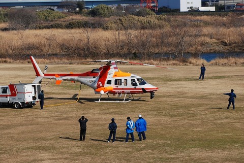 2012gazo 174
