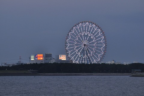 DSC_0596