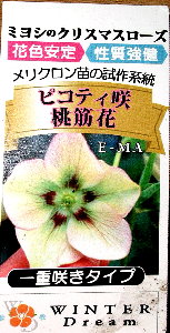 ¥ß¥è¥·¥Ô¥³¥Æ¥£¡¼ºé¤Åí¶Ú²Ö01