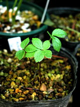 d2e735a8.jpg
