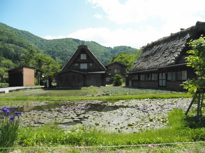 P6050354