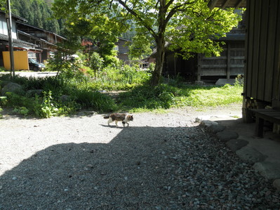 P6050376