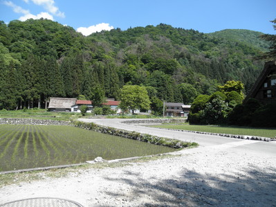 P6050368