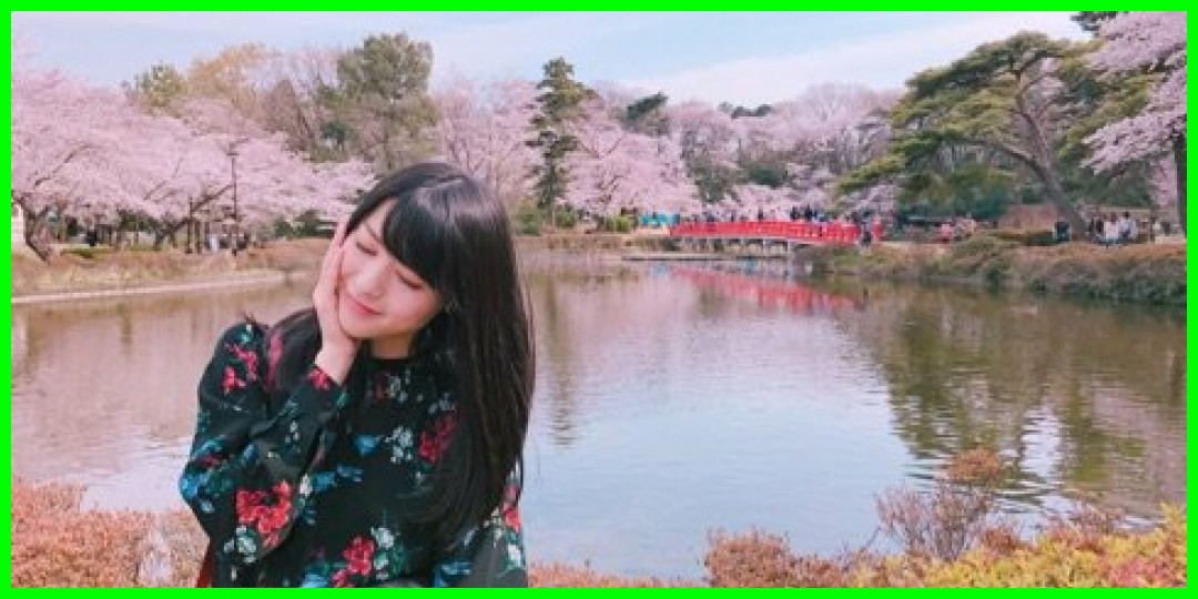 矢島舞美<!--zzz矢島舞美/zzz-->