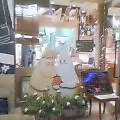 20040925_2042_000.jpg