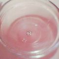 20040925_2307_000.jpg
