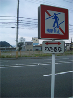 1e5248d7.jpg
