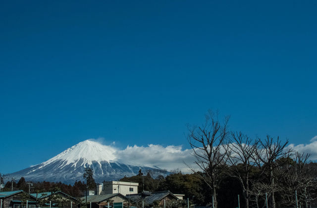 DSCF0233