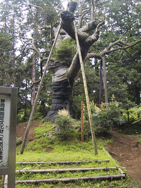14kubituka