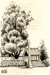 大樹