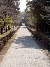 善楽寺 山門からは長い参道がまっすぐに伸びます