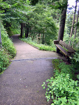 横峰寺へと続く細い山道