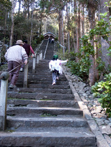 清滝寺 元気な樹絵瑠は長い階段も平気!