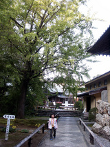 竹林寺 美しい庭園と大きな銀杏のある参道を行きます