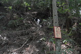 L1000755