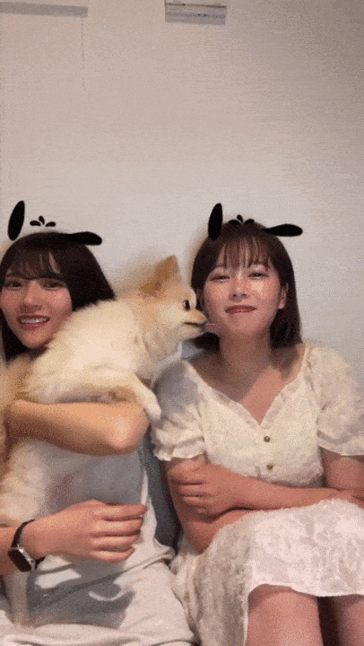 ◆女性声優、がっつりパンチラ 変態の宴Ⅱ