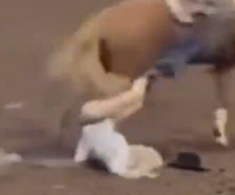 【動画】女性が乗る馬が転倒。女性のズボンが脱げてパンツ丸見えになってしまう 変態の宴Ⅱ