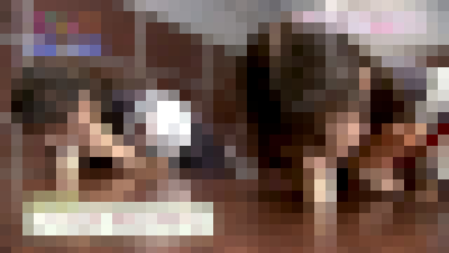 ◆【画像】現役アイドルに咥えさせてた深夜の神番組WWW 変態の宴Ⅱ