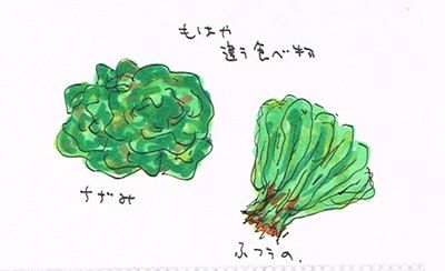 20120206