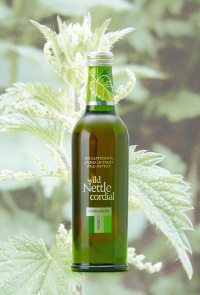 nettle