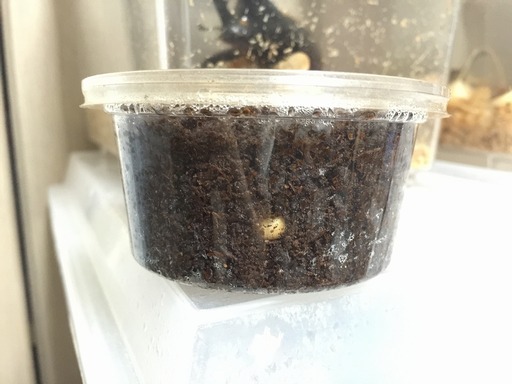 2015-04-22_11-07-05