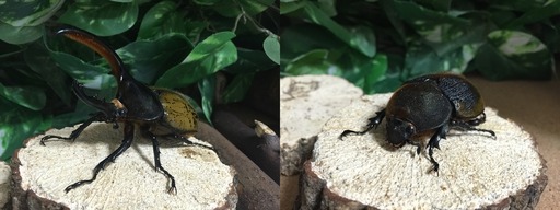 2015-03-21_23-48-16
