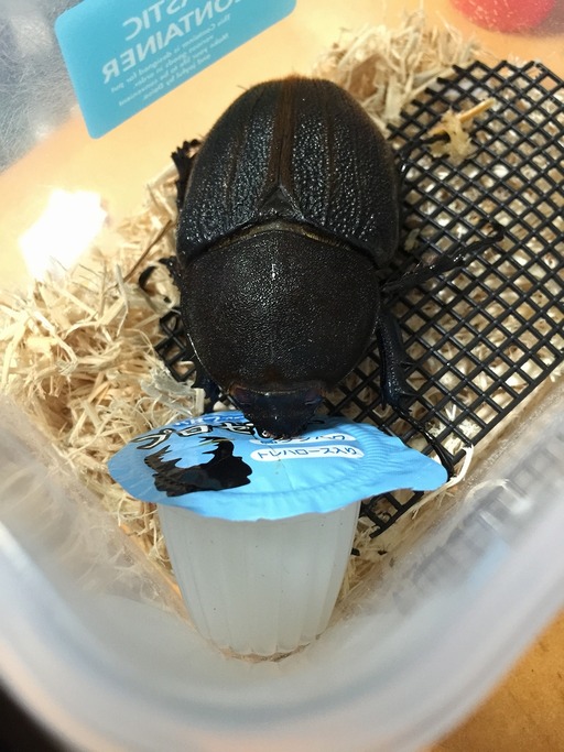 2015-05-17_09-22-19