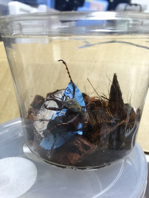 2015-05-15_22-43-27