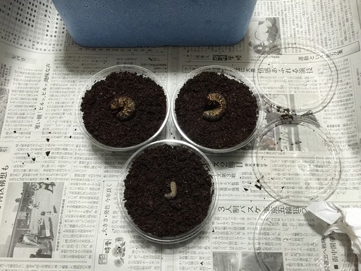 2015-04-09_11-34-34