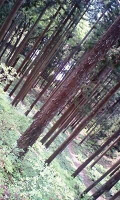 CANRS2KZ