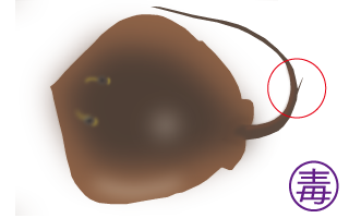 kavtaaeg7dxf5pzz6omx-e8c5ab22