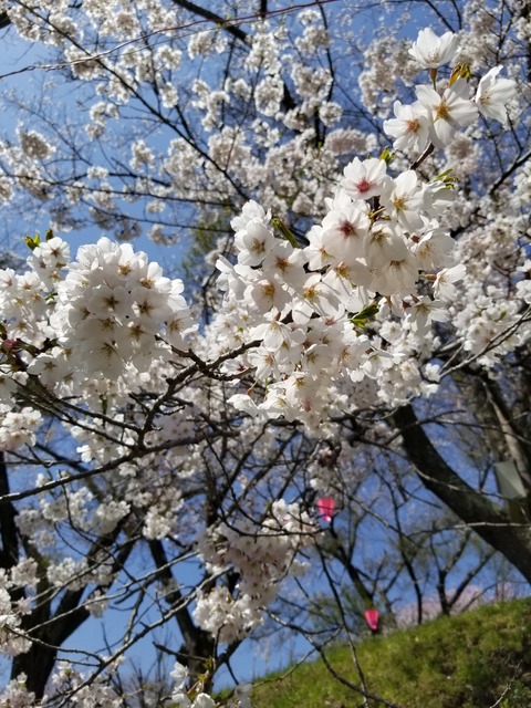 20180419_104228