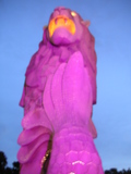 �ޡ��饤����