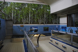 08337933.jpg