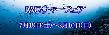 夏