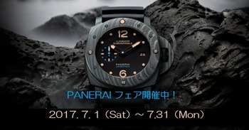 PN¥Ð¥Ê¡¼