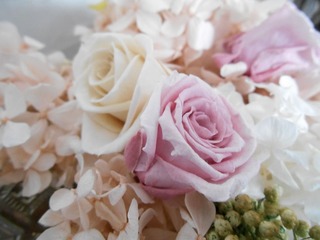 DSCN0919
